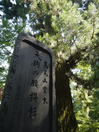 1383576872-3511547700 Takaosan-高尾山 世界最多人登的山 米其林三星景點