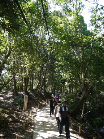 1383577257-1665738193 Takaosan-高尾山 世界最多人登的山 米其林三星景點