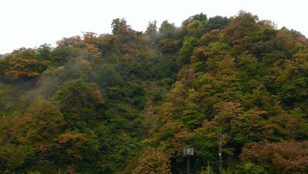 1383660642-2733858675 Tsuruoka-鶴岡小鎮半日遊 這裡是阿信的故鄉山形