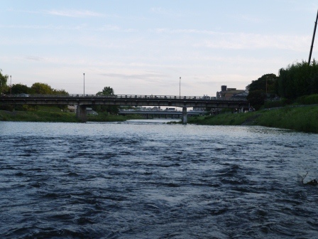 1384428225-4063880653 Kyoto-京都鴨川 好一個清涼清澈的鴨川時間