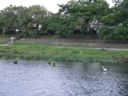 1384428234-3699890161 Kyoto-京都鴨川 好一個清涼清澈的鴨川時間