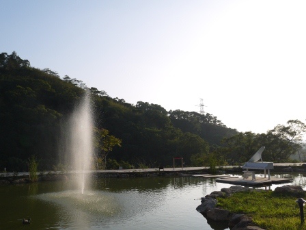 1384598351-795283811 芎林-心鮮森林 總覺得少了點什麼的鄉村風庭園