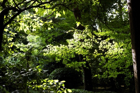 1386505926-4228579247 Kyoto-龍安寺 枯山水 巧妙的15顆石頭排列 永遠只看到14顆