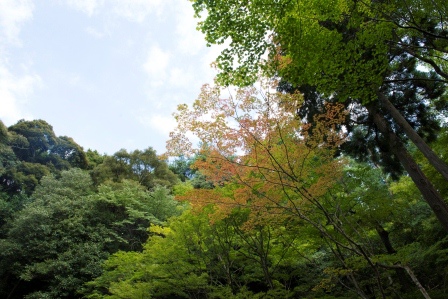 1386771238-3753088614 Kyoto-銀閣寺 原來銀閣寺不是銀的阿