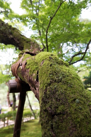 1386771275-540676670 Kyoto-銀閣寺 原來銀閣寺不是銀的阿