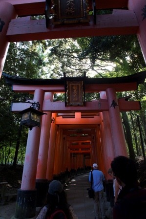 1386859956-2115366701 Kyoto-伏見稻禾神社 沒錯這是鬼打牆的鳥居集散地