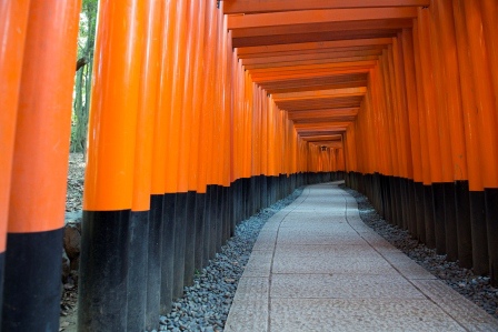 1386859957-438662074 Kyoto-伏見稻禾神社 沒錯這是鬼打牆的鳥居集散地