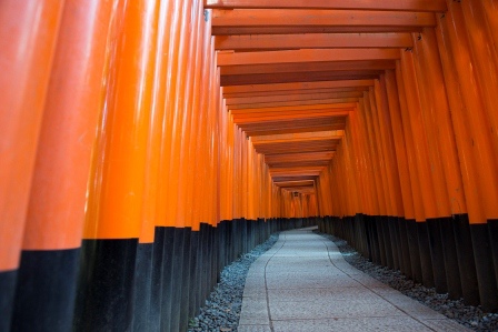1386859957-765594094 Kyoto-伏見稻禾神社 沒錯這是鬼打牆的鳥居集散地