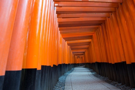 1386859958-3590460891 Kyoto-伏見稻禾神社 沒錯這是鬼打牆的鳥居集散地
