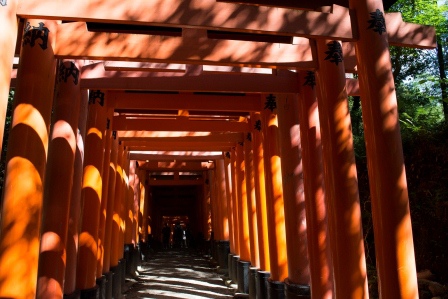1386859961-705237796 Kyoto-伏見稻禾神社 沒錯這是鬼打牆的鳥居集散地