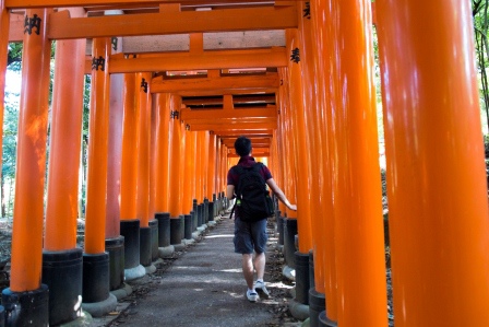 1386859962-2730402455 Kyoto-伏見稻禾神社 沒錯這是鬼打牆的鳥居集散地