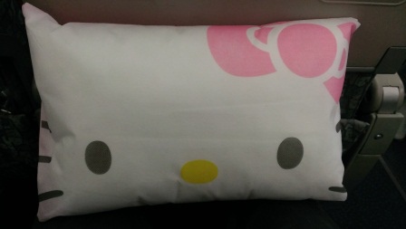 1388136309-1144204916 2013最後飛行之Hello Kitty陪我飛東京