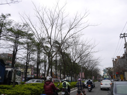 1395744041-208707808 新竹-佐登早餐 簡單美味的早餐店