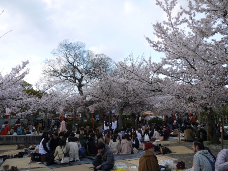 1397654763-335984745 Kyoto-八坂神社&円山公園 有點亂的櫻花園區