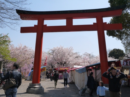 1399542057-2070724896 Kyoto-平野神社 賞櫻名所