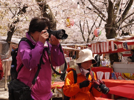 1399542059-645770196 Kyoto-平野神社 賞櫻名所