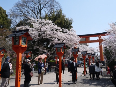 1399542065-2636503315 Kyoto-平野神社 賞櫻名所