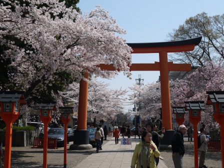 1399542065-3522573710 Kyoto-平野神社 賞櫻名所
