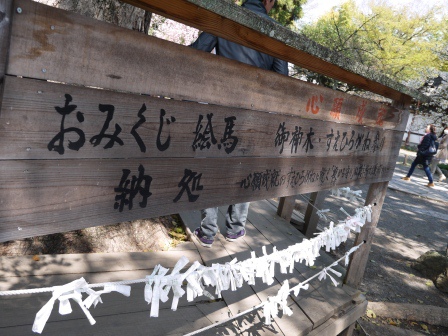 1399542067-2802502862 Kyoto-平野神社 賞櫻名所