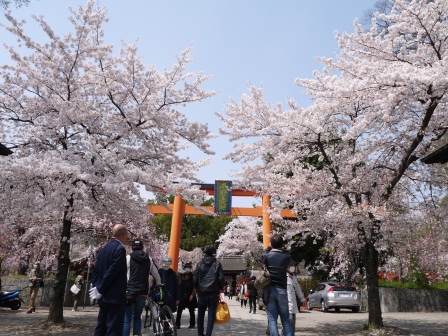 1399542072-1827715032 Kyoto-平野神社 賞櫻名所