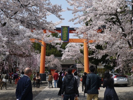 1399542072-2718231075 Kyoto-平野神社 賞櫻名所