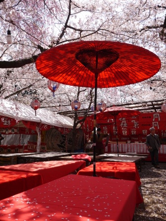 1399562241-2342779996 Kyoto-平野神社 賞櫻名所