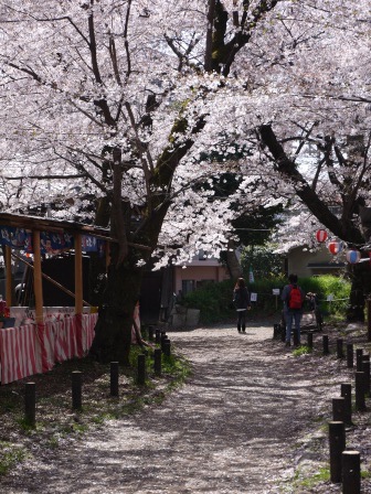 1399562277-902290817 Kyoto-平野神社 賞櫻名所