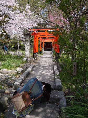 1399562364-4191180441 Kyoto-平野神社 賞櫻名所