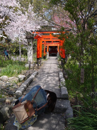 平野神社0135