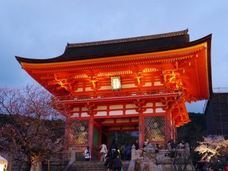 1399786468-3179638169 Kyoto-清水寺賞夜櫻 另種櫻花美