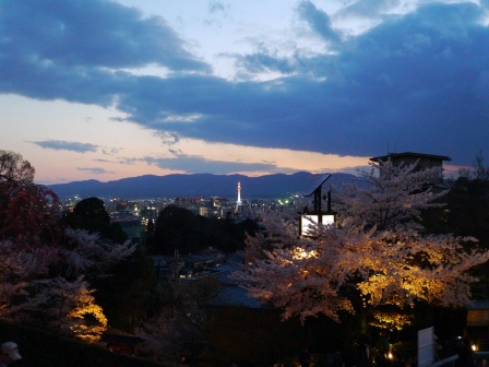 1399786469-4180804062 Kyoto-清水寺賞夜櫻 另種櫻花美