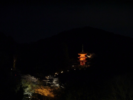 1399786480-3933687552 Kyoto-清水寺賞夜櫻 另種櫻花美