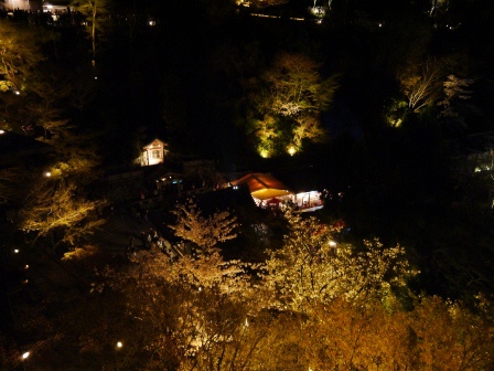 1399786481-586292433 Kyoto-清水寺賞夜櫻 另種櫻花美