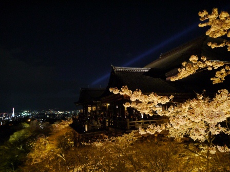 1399786484-2145933705 Kyoto-清水寺賞夜櫻 另種櫻花美