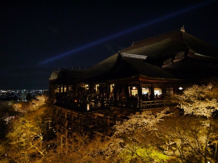 1399786484-4037021984 Kyoto-清水寺賞夜櫻 另種櫻花美