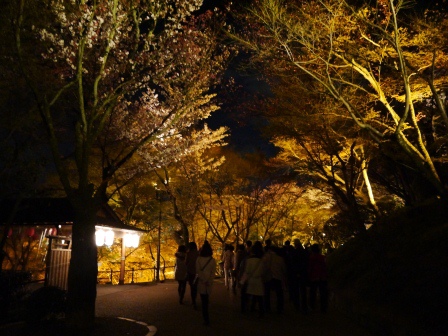 1399786487-685508988 Kyoto-清水寺賞夜櫻 另種櫻花美