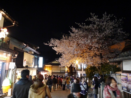 1399786491-1094912401 Kyoto-清水寺賞夜櫻 另種櫻花美
