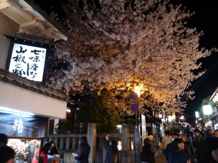 1399786492-835968888 Kyoto-清水寺賞夜櫻 另種櫻花美