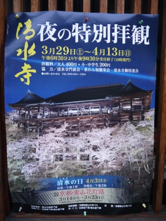 1399786817-740428678 Kyoto-清水寺賞夜櫻 另種櫻花美