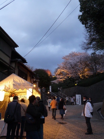 1399786880-1019027992 Kyoto-清水寺賞夜櫻 另種櫻花美