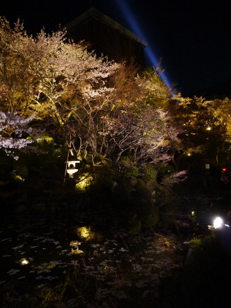 1399787472-2576743181 Kyoto-清水寺賞夜櫻 另種櫻花美