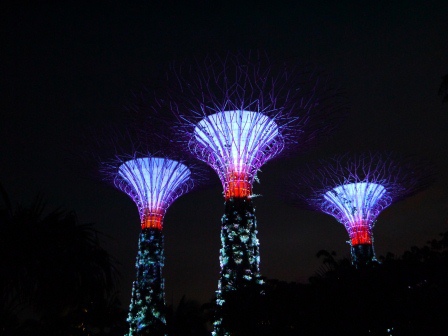 1399857306-4223908301 Singapore-Gardens by the Bay越夜越美麗