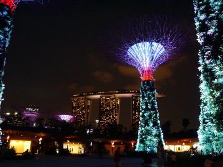 1399857307-1104761110 Singapore-Gardens by the Bay越夜越美麗