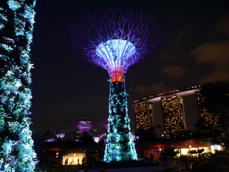1399857307-47018099 Singapore-Gardens by the Bay越夜越美麗