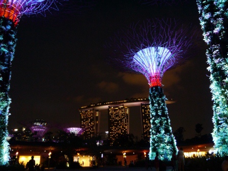 1399857308-2826249173 Singapore-Gardens by the Bay越夜越美麗