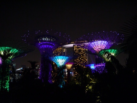 1399857308-533357680 Singapore-Gardens by the Bay越夜越美麗