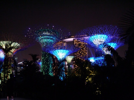 1399857309-3388086506 Singapore-Gardens by the Bay越夜越美麗