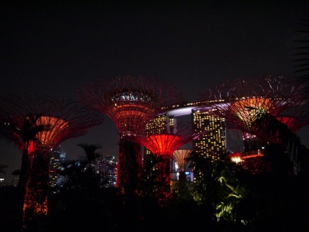 1399857310-3604460679 Singapore-Gardens by the Bay越夜越美麗
