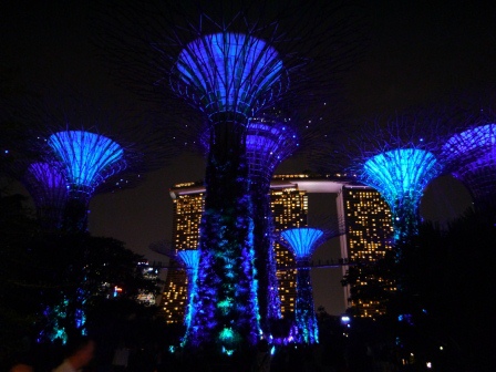 1399857311-483351966 Singapore-Gardens by the Bay越夜越美麗