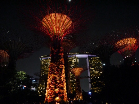 1399857312-1846344939 Singapore-Gardens by the Bay越夜越美麗